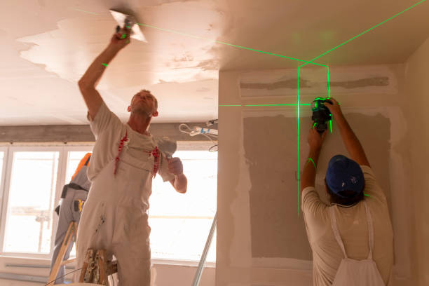 Best Fire-Damaged Drywall Repair  in Wmington, IL